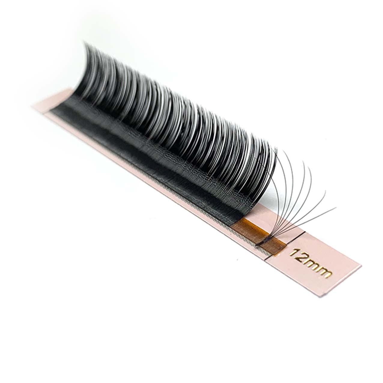 Easy Fan Volume Eyelash Extensions