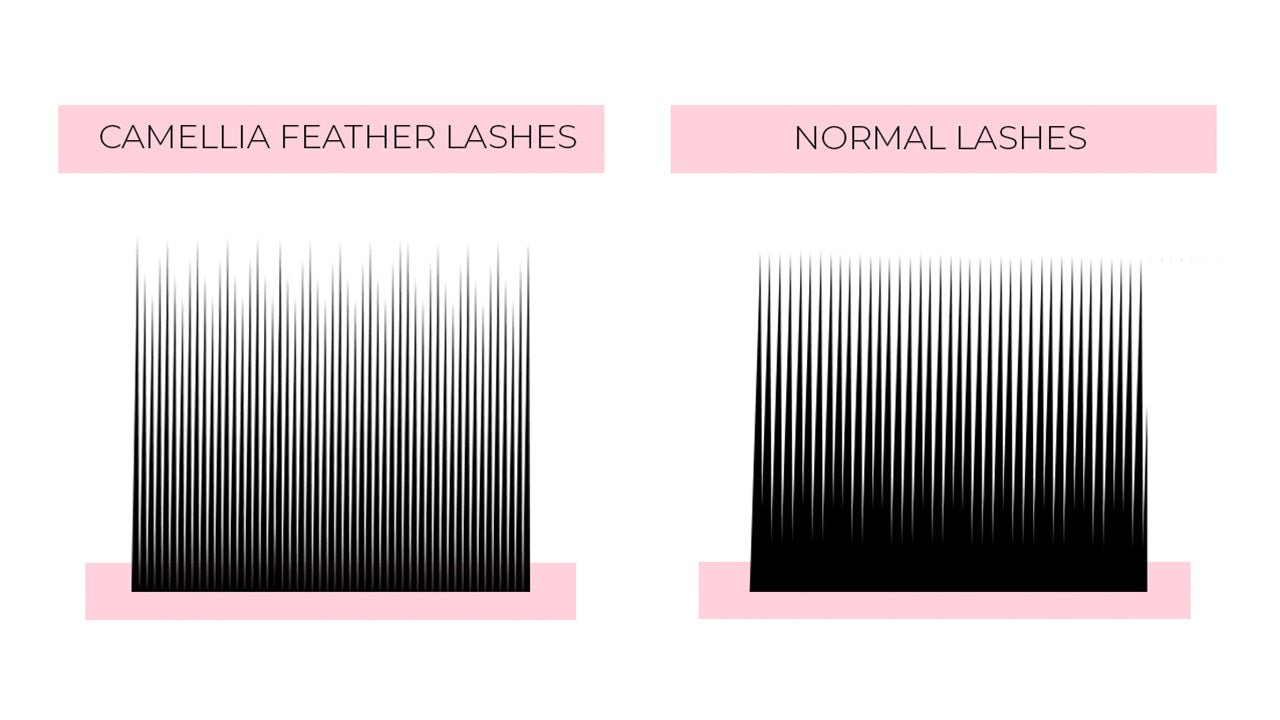 Camellia eyelash extensions mixed-color 16 lines VLC011 1