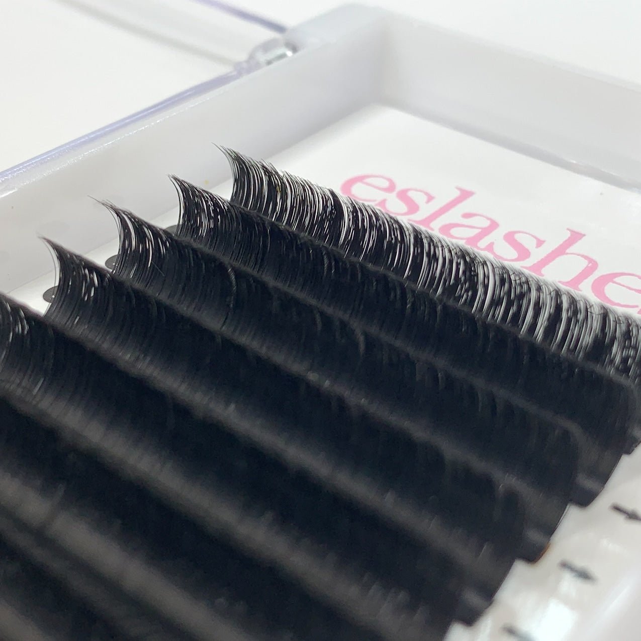 Camellia-fast-fan-lashes