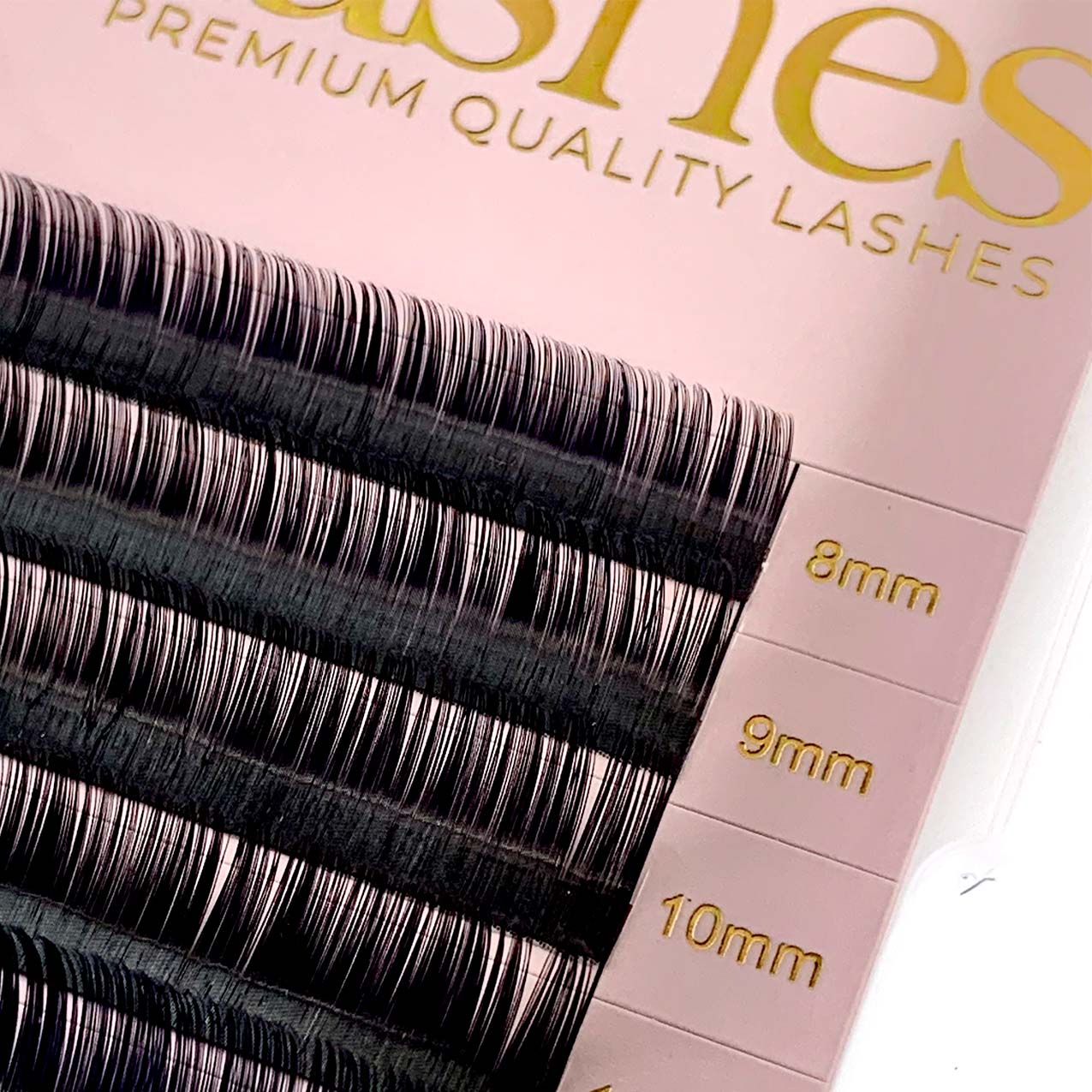 0.05 regular volume lash tray close up