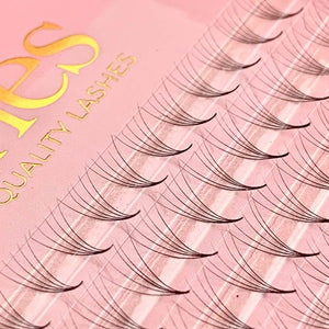 5D large pre-made fans lashes 